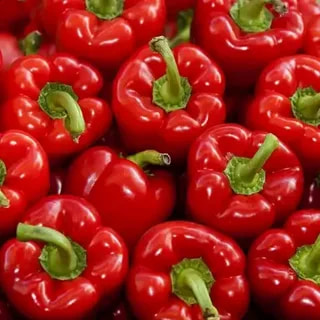 تصویر 3 از فلفل دلمه‌ ای قرمز با ماندگاری بالا و کیفیت مطلوب